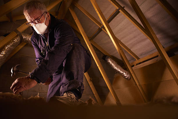Best DIY Insulation Kits and Guidance in Apple Creek, OH